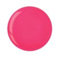 DIP SYSTEM PUDER Bright Pink 15 G