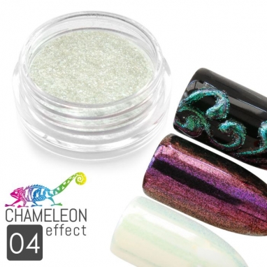 04 Chameleon Effect