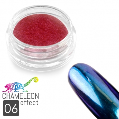 06 Chameleon Effect