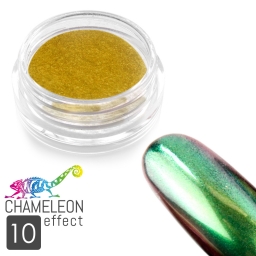 10 Chameleon Effect