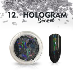 12. HOLOGRAM SECRET
